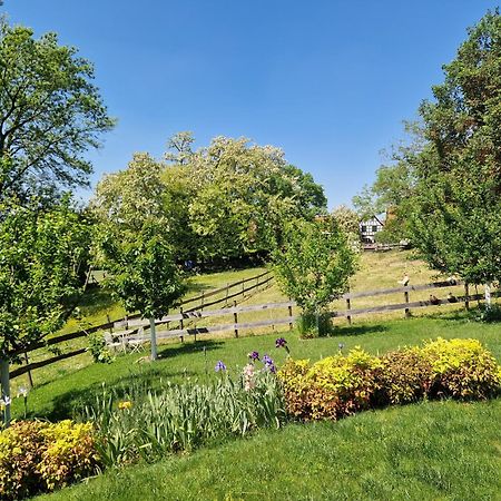 Gite Terre D'Helene 4 A 5 Pers Proche Strasbourg 42 M2, 3 Etoiles, Wifi, Paisible, Jardin, Proche Commerces,16 Atouts, Animaux Acceptes Berstett Εξωτερικό φωτογραφία