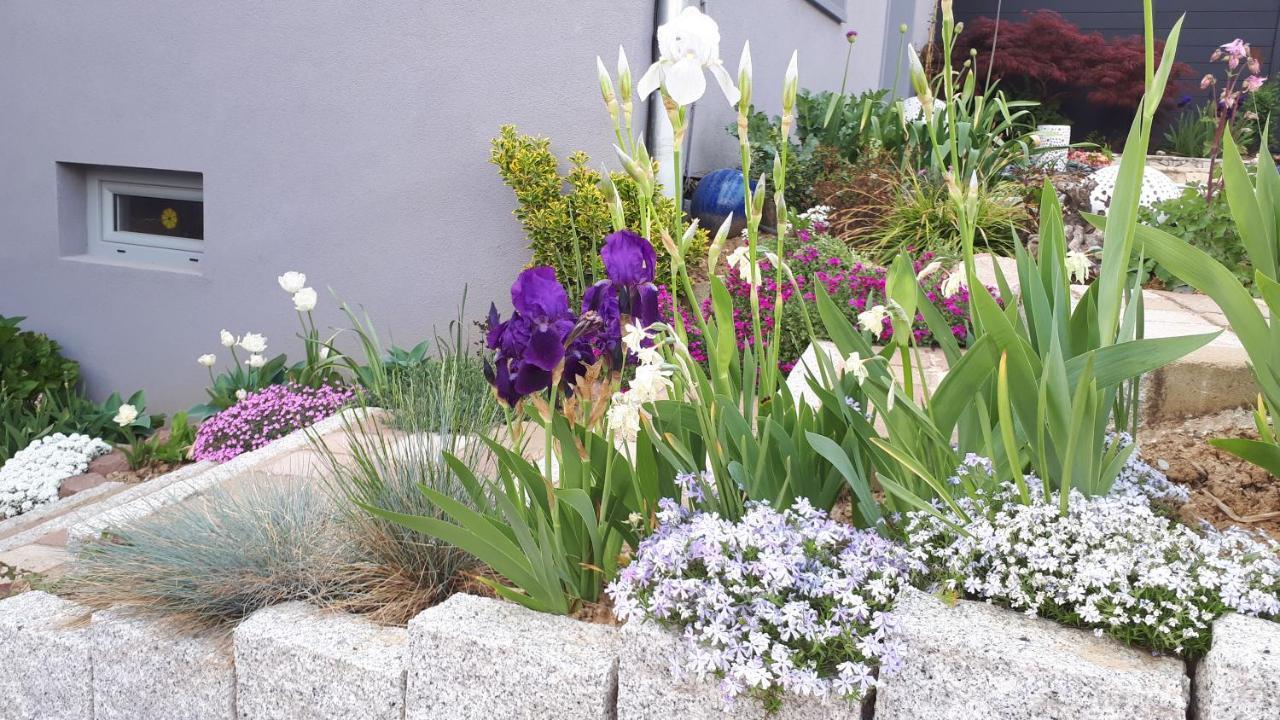 Gite Terre D'Helene 4 A 5 Pers Proche Strasbourg 42 M2, 3 Etoiles, Wifi, Paisible, Jardin, Proche Commerces,16 Atouts, Animaux Acceptes Berstett Εξωτερικό φωτογραφία