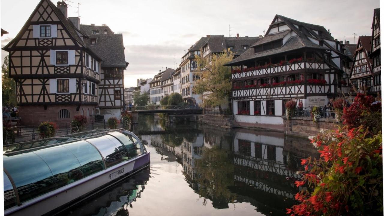 Gite Terre D'Helene 4 A 5 Pers Proche Strasbourg 42 M2, 3 Etoiles, Wifi, Paisible, Jardin, Proche Commerces,16 Atouts, Animaux Acceptes Berstett Εξωτερικό φωτογραφία