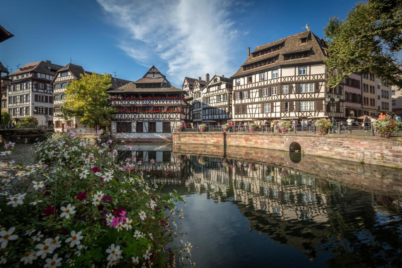Gite Terre D'Helene 4 A 5 Pers Proche Strasbourg 42 M2, 3 Etoiles, Wifi, Paisible, Jardin, Proche Commerces,16 Atouts, Animaux Acceptes Berstett Εξωτερικό φωτογραφία