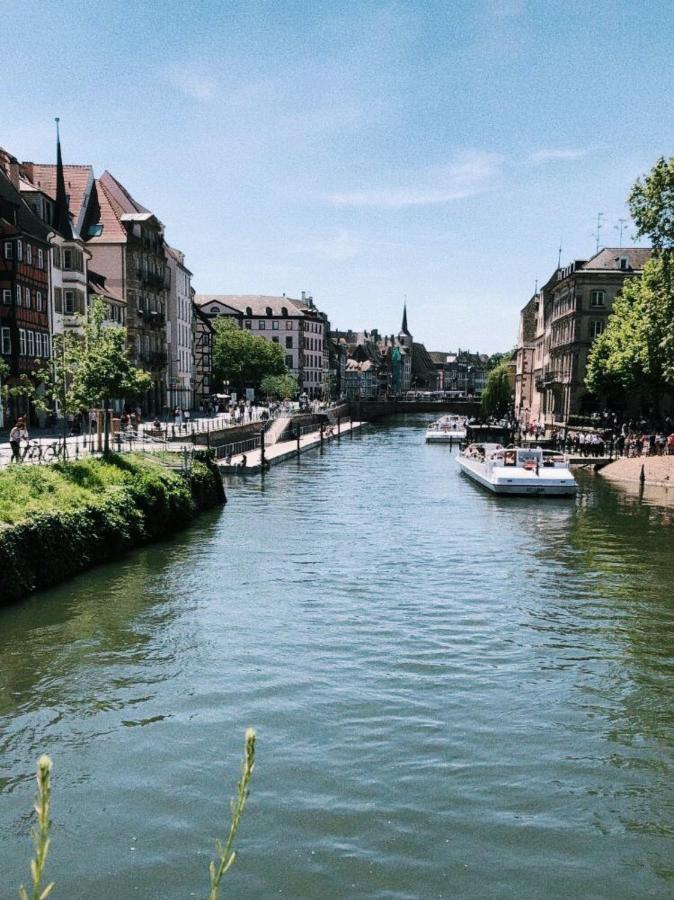 Gite Terre D'Helene 4 A 5 Pers Proche Strasbourg 42 M2, 3 Etoiles, Wifi, Paisible, Jardin, Proche Commerces,16 Atouts, Animaux Acceptes Berstett Εξωτερικό φωτογραφία