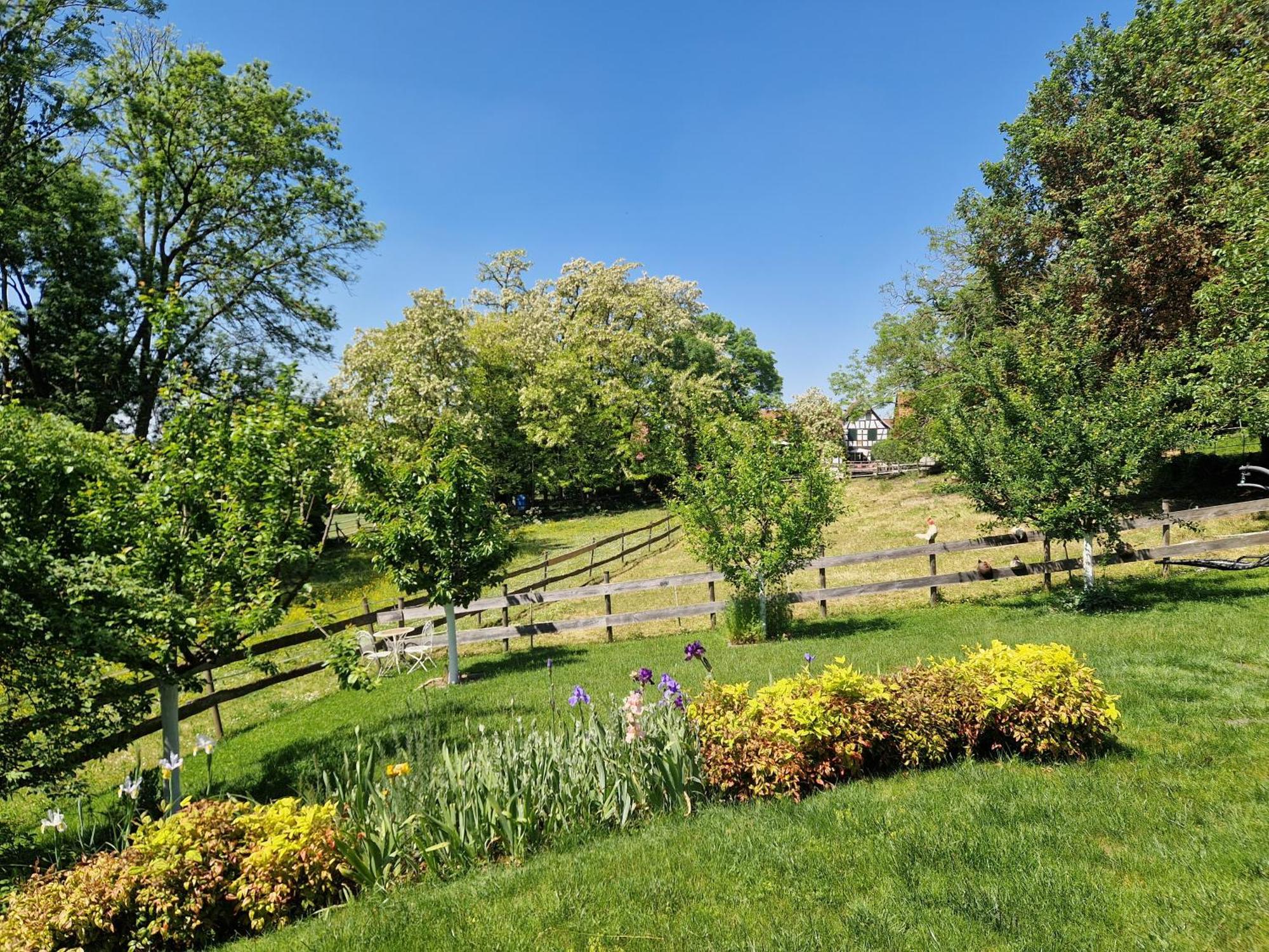 Gite Terre D'Helene 4 A 5 Pers Proche Strasbourg 42 M2, 3 Etoiles, Wifi, Paisible, Jardin, Proche Commerces,16 Atouts, Animaux Acceptes Berstett Εξωτερικό φωτογραφία
